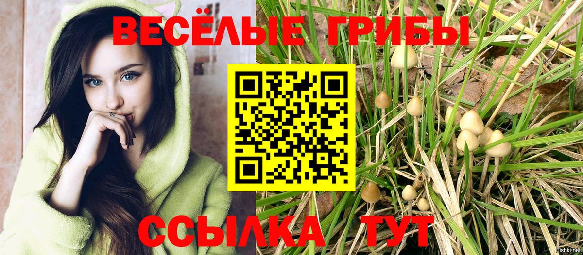 наркошоп  Псилоцибиновые грибы Magic Shrooms  Вход с VPN  Псилоцибиновые грибы GOLDEN TEACHER  Красный Сулин 